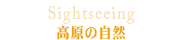 高原の自然